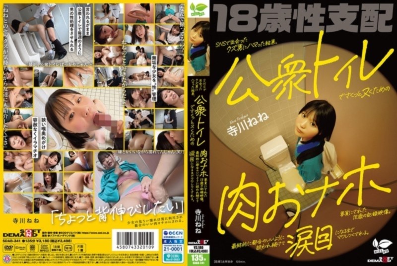 SNSで出会ったクズ男にハマった結果、公衆トイレでさくっとヌくための肉おナホ要員にされた18歳の記録映像。 寺川ねね